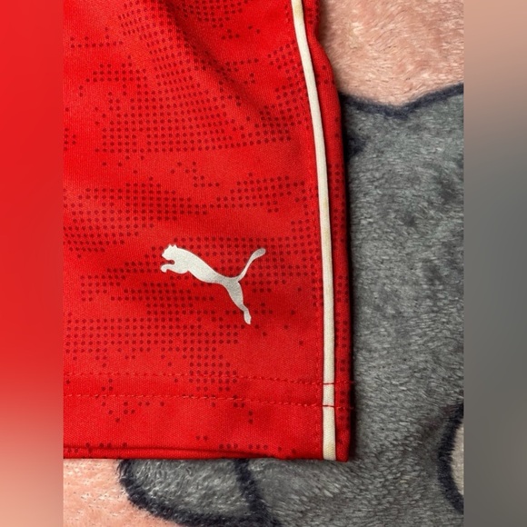 12m baby puma - Picture 7 of 7